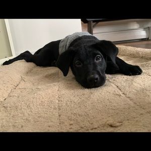 Meet your Posher, Madelyn